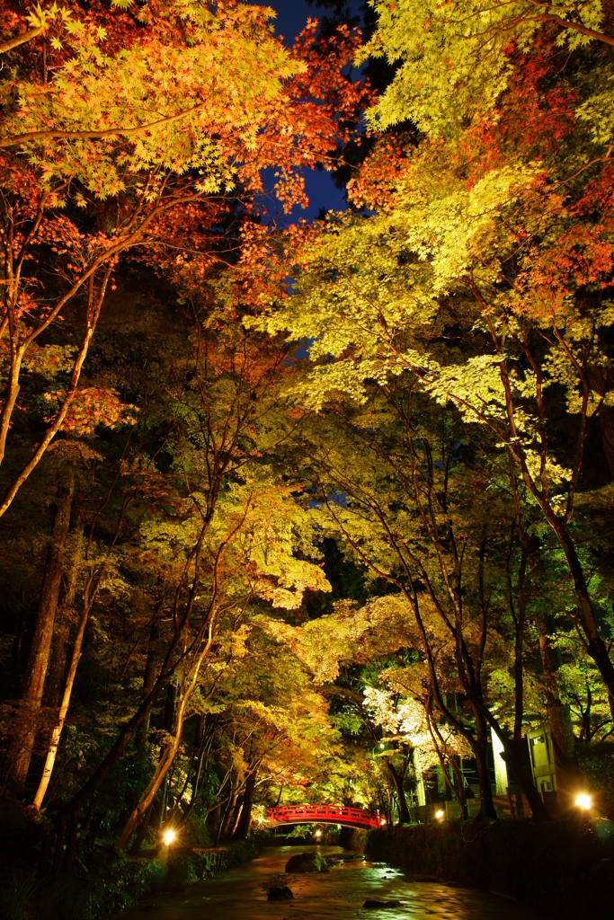 宮川夜景１