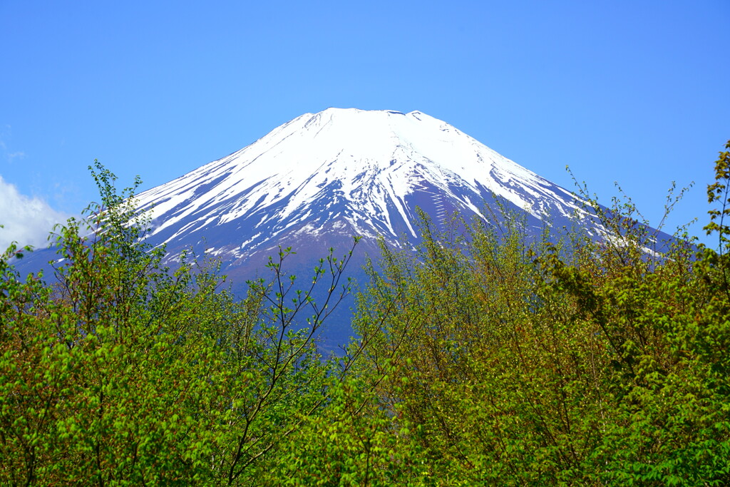 さわやか