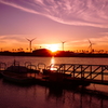 海洋公園の夕暮れ