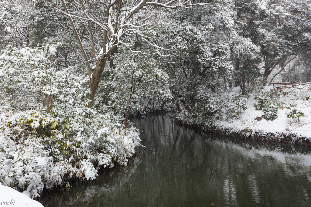 六義園　雪景色