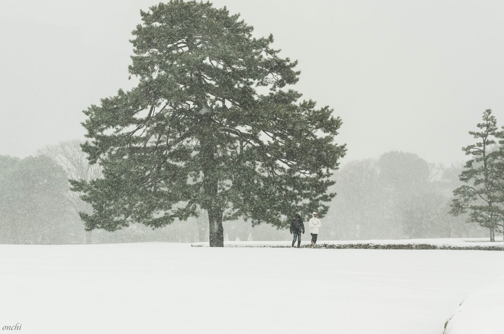 皇居東御苑　雪景色