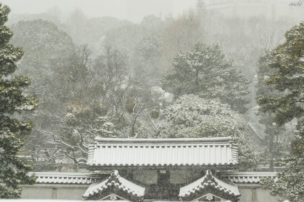 皇居東御苑　雪景色