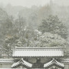 皇居東御苑　雪景色