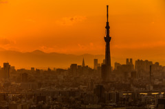 スカイツリー　夕焼け　市川　アイリンクタウン