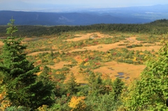 八甲田山 下無岱