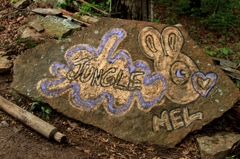 JUNGLE MEL