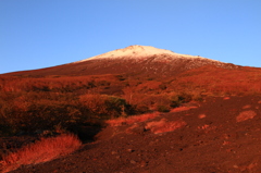 冠雪の赤富士