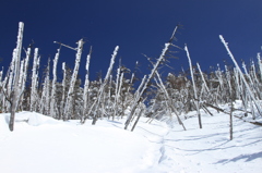 蓼科山