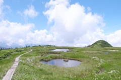 苗場山湿原