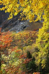 屏風岩の紅葉
