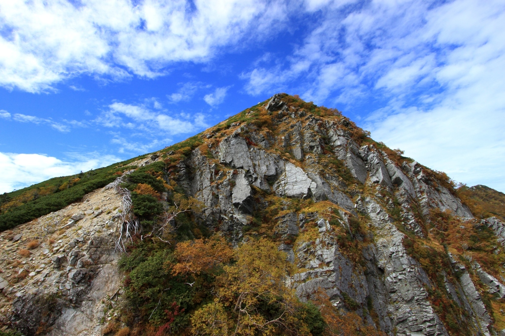 東川岳