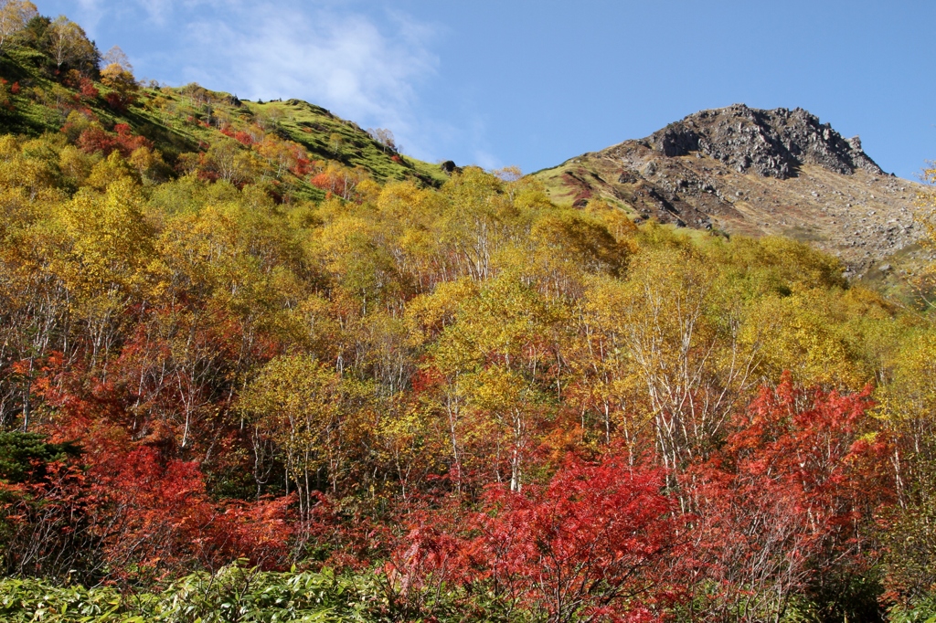 焼岳