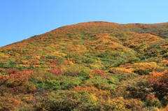 錦秋の栗駒山Ⅳ