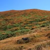 錦秋の栗駒山Ⅲ