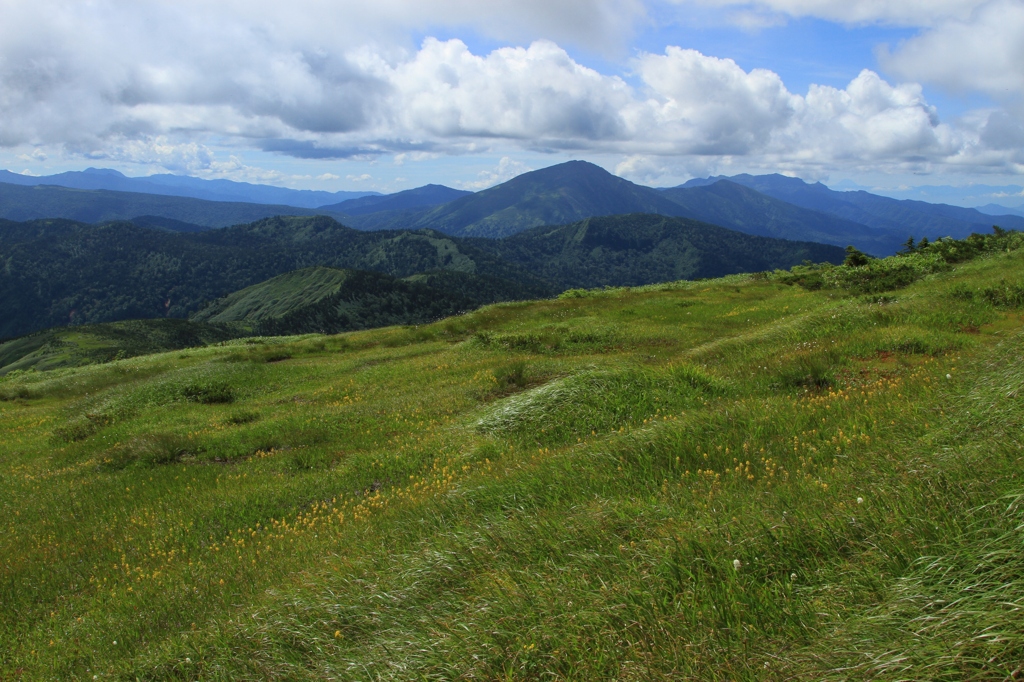 平ヶ岳 至仏山遠望