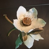 畦の花館Ⅲ