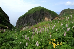 桃岩