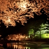 高田城夜桜