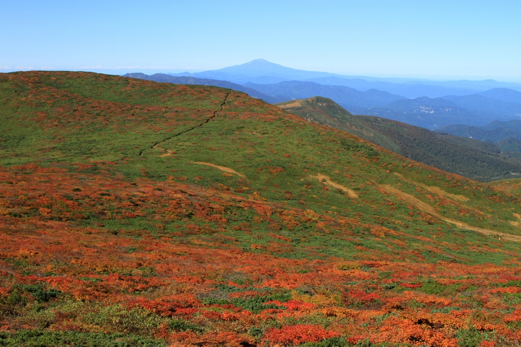 錦秋の栗駒山Ⅱ