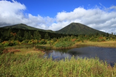 八甲田山 睡蓮沼