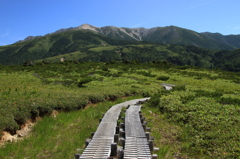 薬師岳トレイル