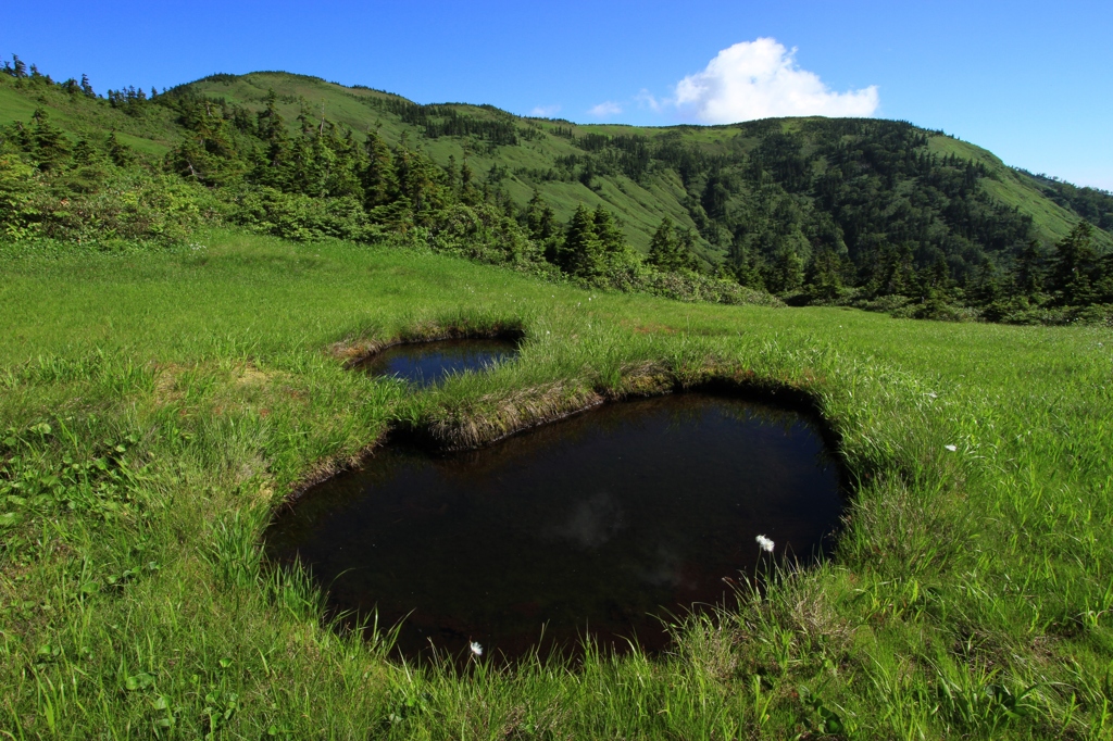 会津駒ケ岳と中門岳
