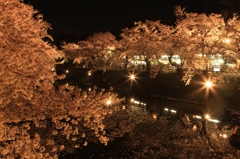 夜桜を愛でる