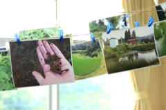 Soil Museum もぐらの館