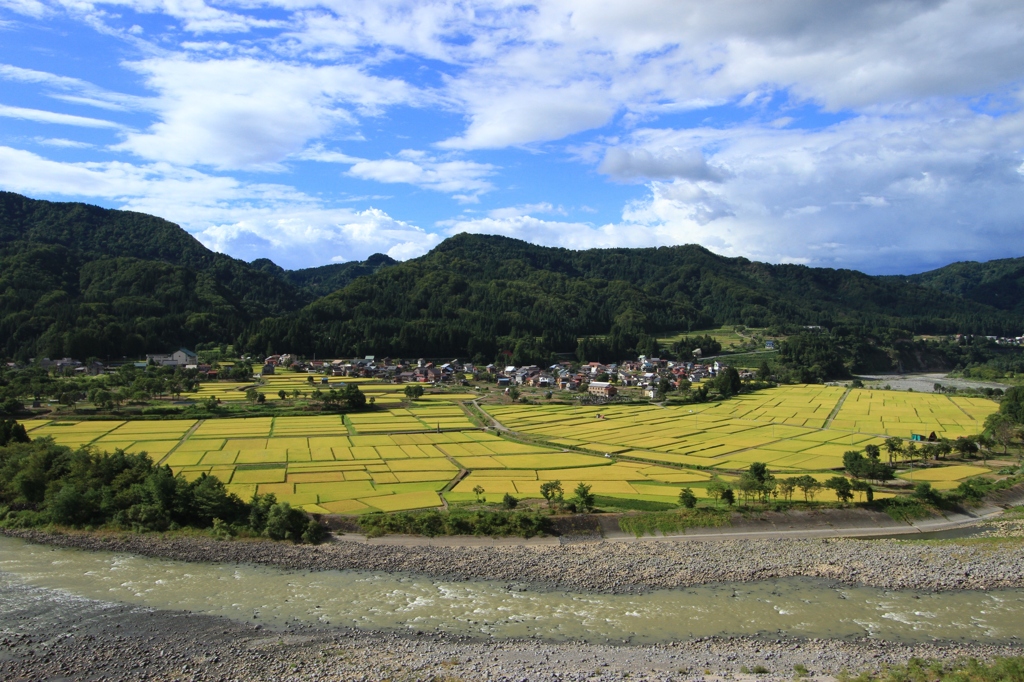 大地のアート「田んぼ」