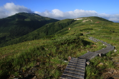 太郎平