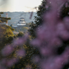 hI5D_3930p