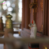 hI5D_3653p