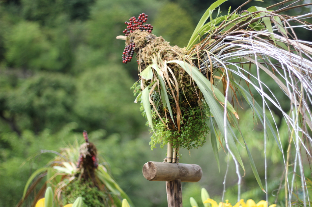 牧野植物園14