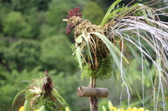 牧野植物園14