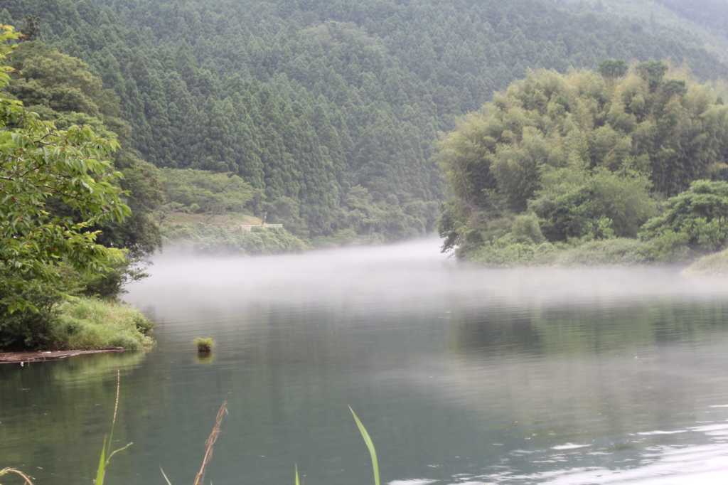 甫喜ヶ峰森林公園　川（湯気出てた）