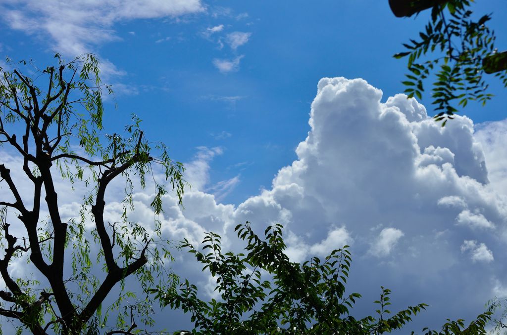 雨上がりの空