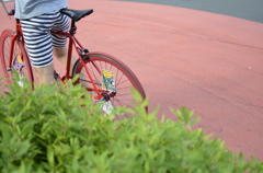 赤い自転車と緑の垣根