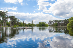 Bois de Boulogne