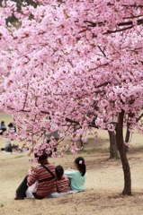 伊勢崎市民の森公園