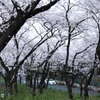 三ツ沢公園