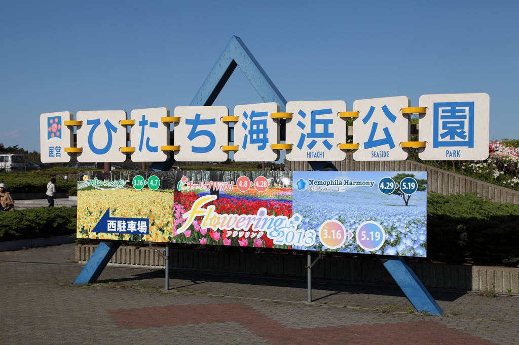 ひたち海浜公園