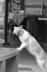 上から！