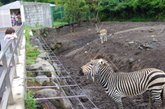 通じ合う子供たち