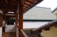 IMGP0921