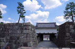 広い