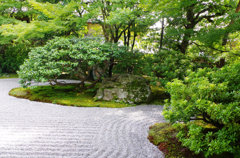 IMGP0916