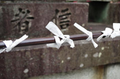 IMGP0947