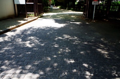 今回はまわりをぐるぐる