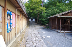 現実に引き戻される一枚