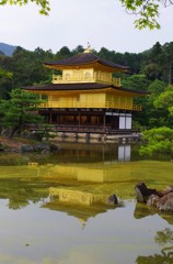 金閣寺綺麗すぎる…
